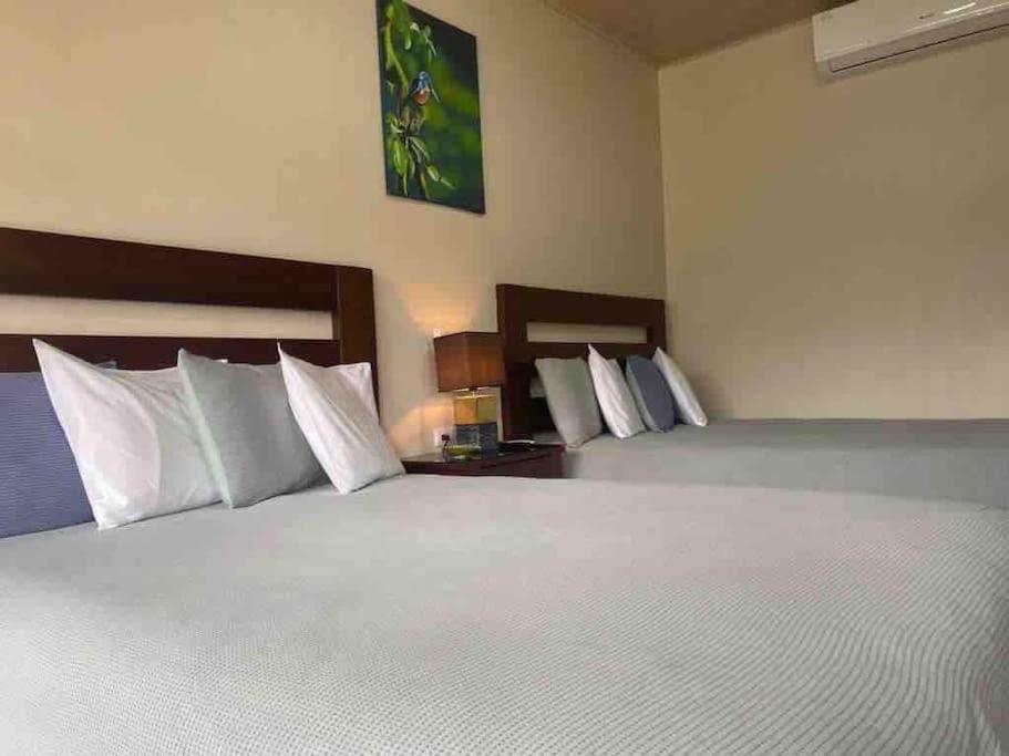 Lisa Loft Boutique Apartment La Fortuna 外观 照片