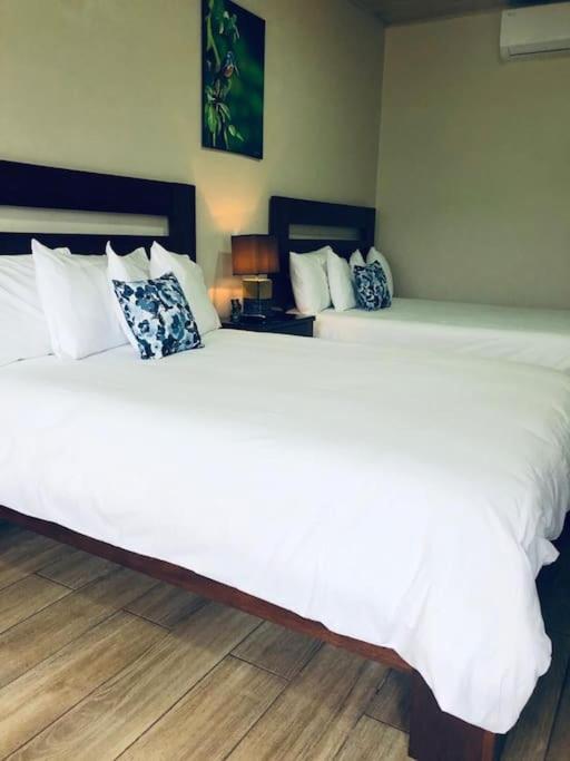 Lisa Loft Boutique Apartment La Fortuna 外观 照片