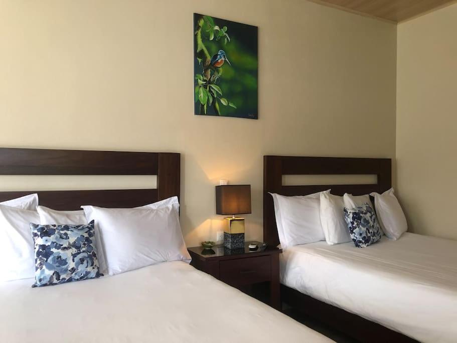 Lisa Loft Boutique Apartment La Fortuna 外观 照片